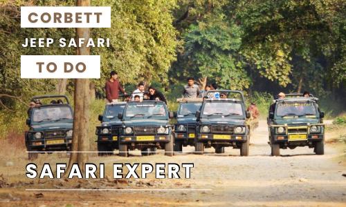 Corbett Jeep Safari