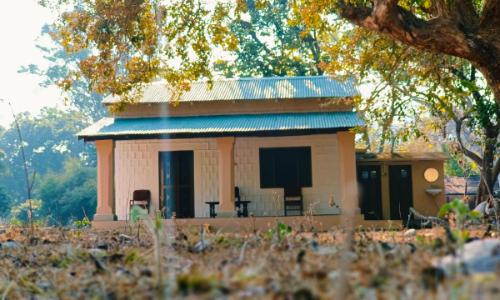Phanto Night  Stay