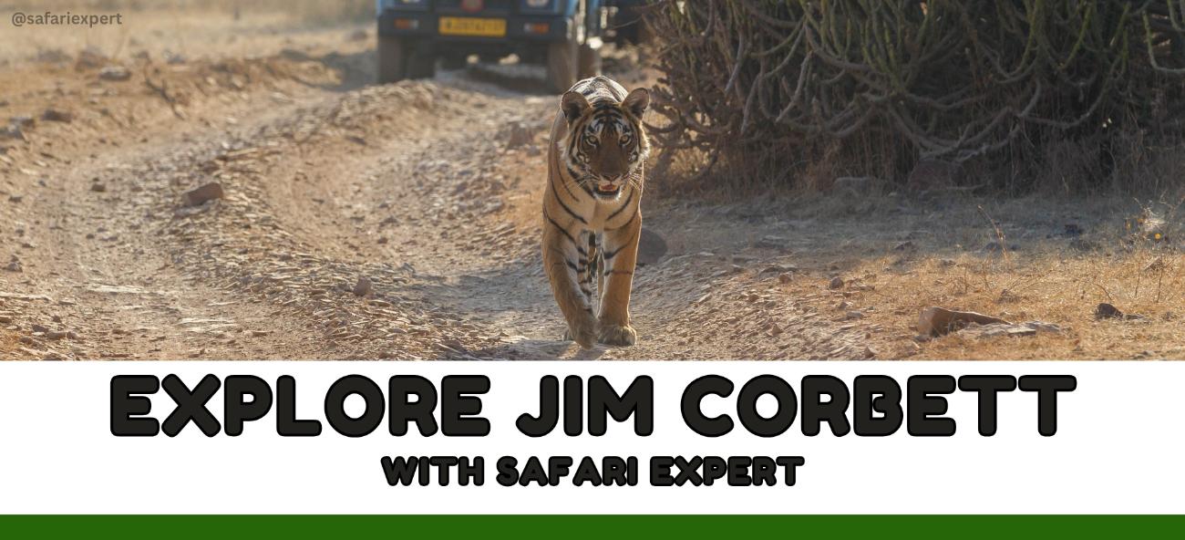 Safari Expert JimCorbett National Park