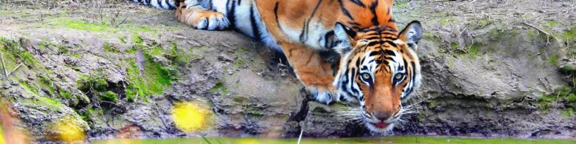 History About Jim Corbett National Park